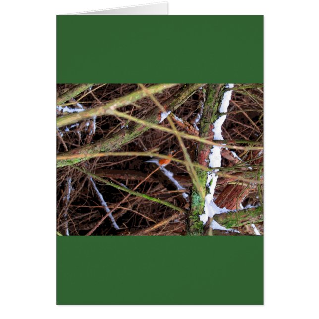 Blizzard Bird CB (Devant)