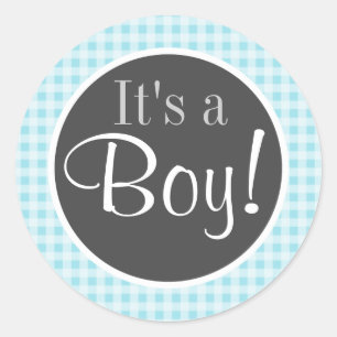 Blizzard Blue Gingham; geruit Ronde Sticker