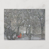 Blizzard Forest Briefkaart (Voorkant)