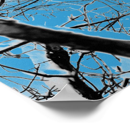 Blizzard Squirel B+W Poster (Hoek)