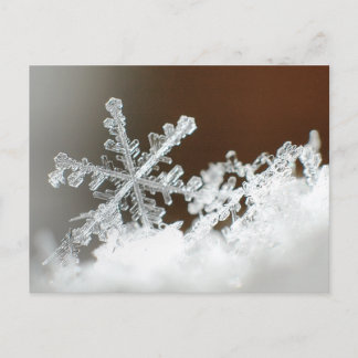 Blizzard van 2009 briefkaart