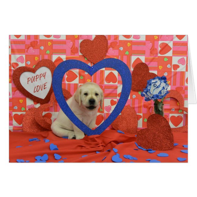 Blizzard Week 6 Foto (Voorkant Horizontaal)