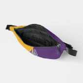 Bloc de couleur UAlbany Great Danes (Ouvrir)