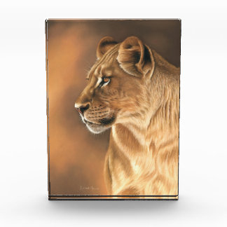 Bloc de photo de lionne
