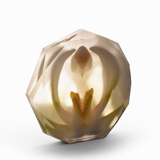 Bloc de photo d'impression de belle orchidée blanc (Gauche)