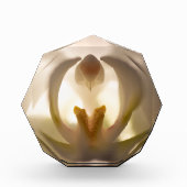 Bloc de photo d'impression de belle orchidée blanc (Devant)