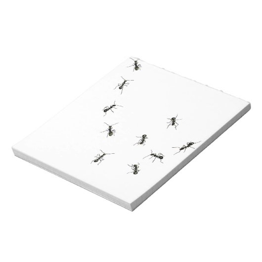 Bloc-note 10 fourmis (Tourné)