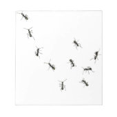 Bloc-note 10 fourmis (Devant)