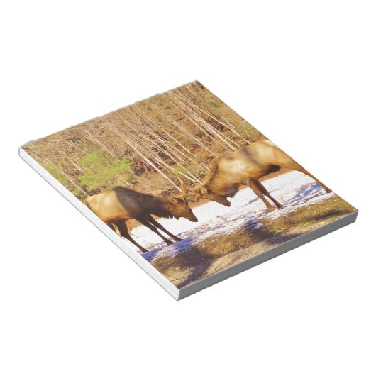 Bloc-note 2~ deux Bull Elk dans la neige (Incliné)