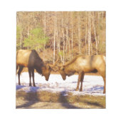 Bloc-note 2~ deux Bull Elk dans la neige (Devant)
