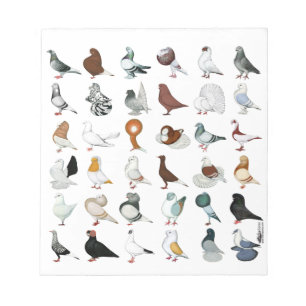 Bloc-note 36 races de pigeon