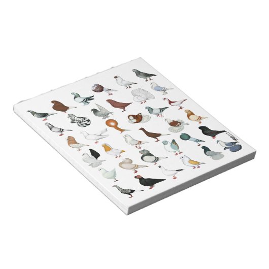 Bloc-note 36 races de pigeons (Incliné)