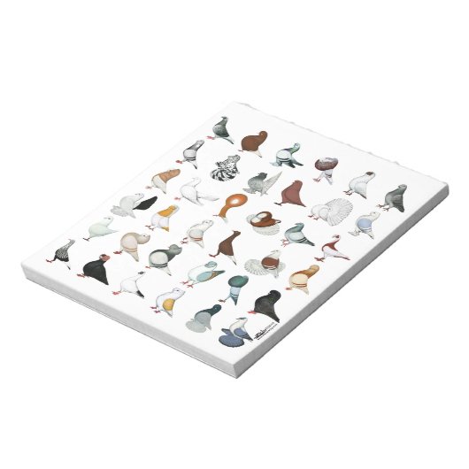 Bloc-note 36 races de pigeons (Tourné)