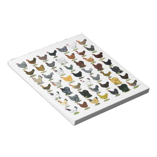 Bloc-note 49 poules de poulet (Incliné)