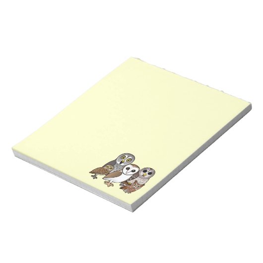 Bloc-note 5 Chouettes Birdables (Tourné)