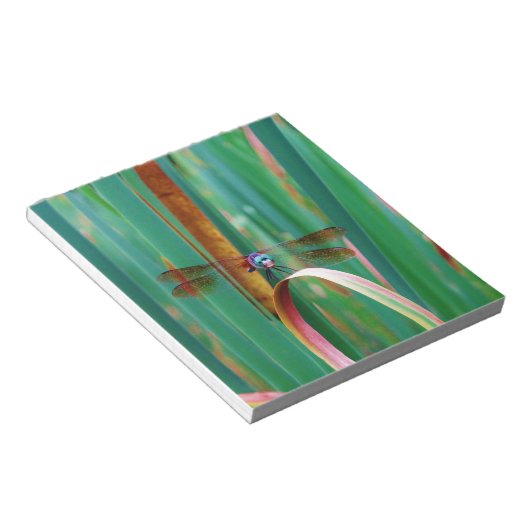Bloc-note A teal Eyed Dragonfly with cattails (Incliné)