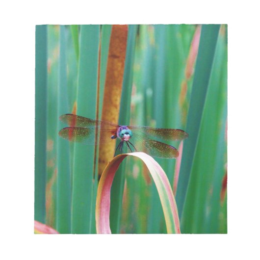 Bloc-note A teal Eyed Dragonfly with cattails (Devant)
