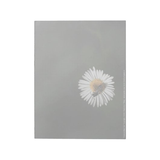 Bloc-note Abeille cosmopolite (Tourné)