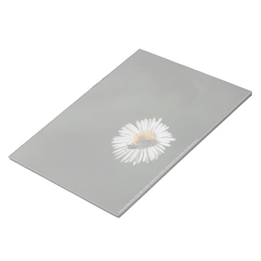 Bloc-note Abeille cosmopolite (Incliné)