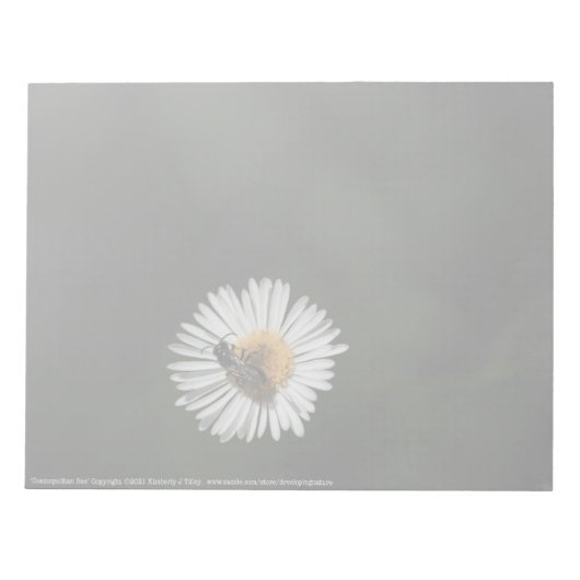 Bloc-note Abeille cosmopolite (Devant)