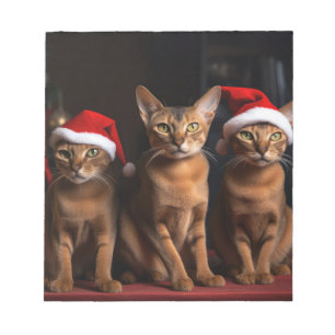 Bloc-note Abyssinian près de la cheminée Noël