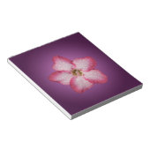 Bloc-note Adénium Fleur Rose Flore Dégradé Violet (Incliné)