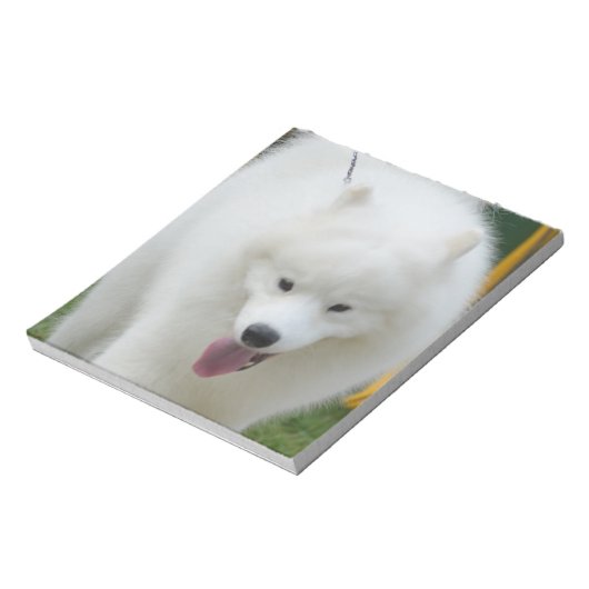 Bloc-note Adorable Eskimo Chien américain (Tourné)