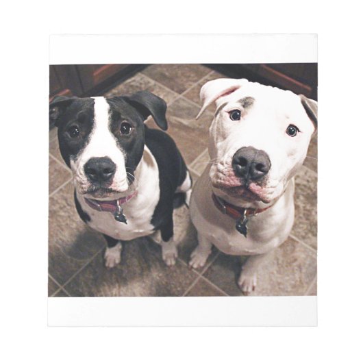 Bloc-note adorables chiots pitbull chiens (Devant)