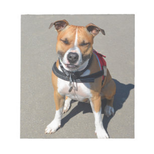Bloc-note Adult American Staffordshire Terrier Dog