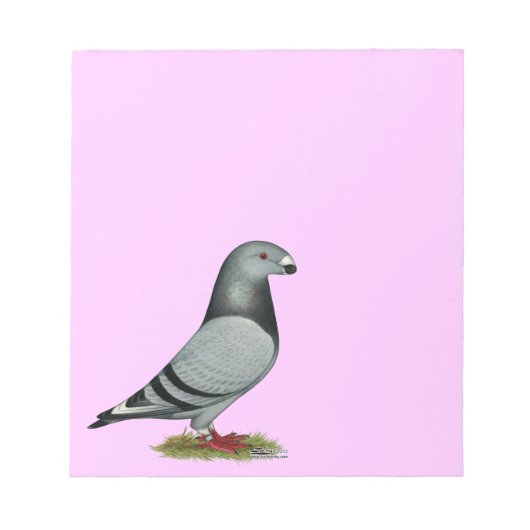 Bloc-note Afficher le faux repère du raciste (Devant)