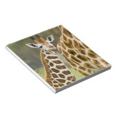 Bloc-note Afrique. Kenya. Girafe de Rothschild bébé (Incliné)