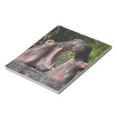 Bloc-note Afrique. Tanzanie. Hippopotame combat (Tourné)