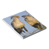 Bloc-note Afrique. Tanzanie. Secrétaire Birds à Ndutu (Incliné)