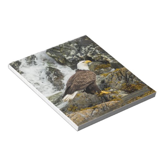 Bloc-note Aigle à tête blanche (Incliné)