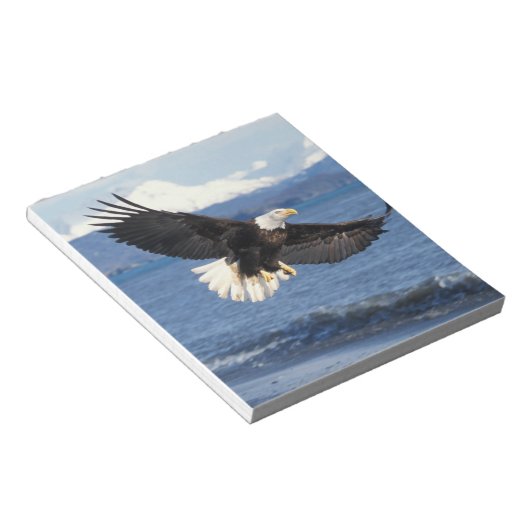 Bloc-note aigle à tête blanche, Haliaeetus leuccocephalus en (Incliné)