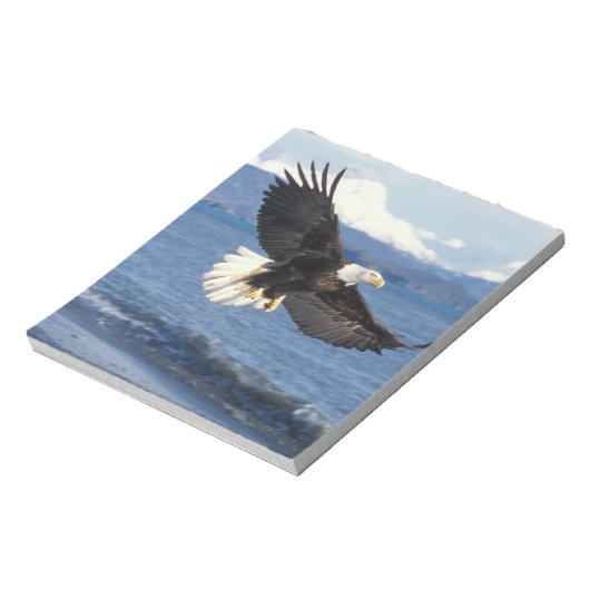 Bloc-note aigle à tête blanche, Haliaeetus leuccocephalus en (Tourné)