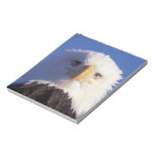 Bloc-note aigle à tête blanche, Haliaeetus leucocephalus, (Tourné)