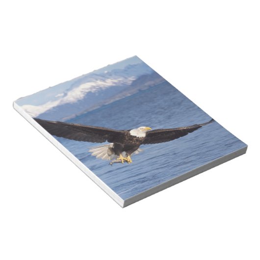 Bloc-note aigle à tête blanche, Haliaeetus leucocephalus, en (Incliné)