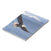 Bloc-note aigle à tête blanche, Haliaeetus leucocephalus, en (Tourné)