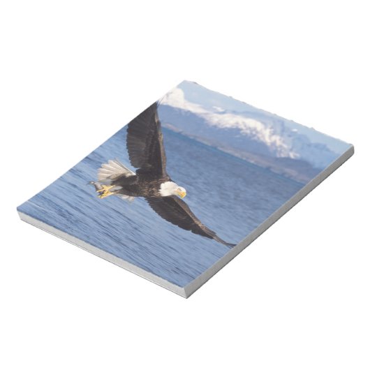 Bloc-note aigle à tête blanche, Haliaeetus leucocephalus, en (Tourné)