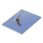 Bloc-note Aigle chauve (Tourné)