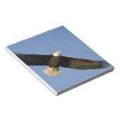 Bloc-note Aigle, Haliaeetus leucocephalus, Homer, 4 (Incliné)