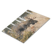 Bloc-note Aiguille (Incliné)