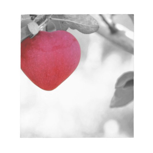 Bloc-note Aimer Apple (Devant)