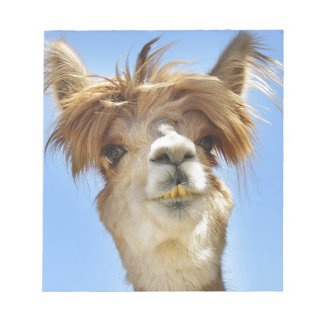 Bloc-note Alpaca avec la tête folle