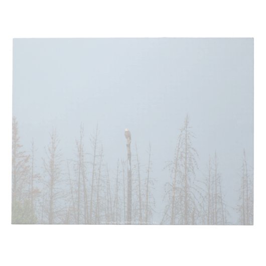 Bloc-note American Bald Eagle 8974 (Devant)
