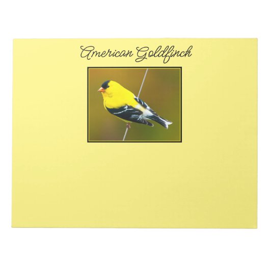 Bloc-note American Goldfinch - Photo originale (Devant)