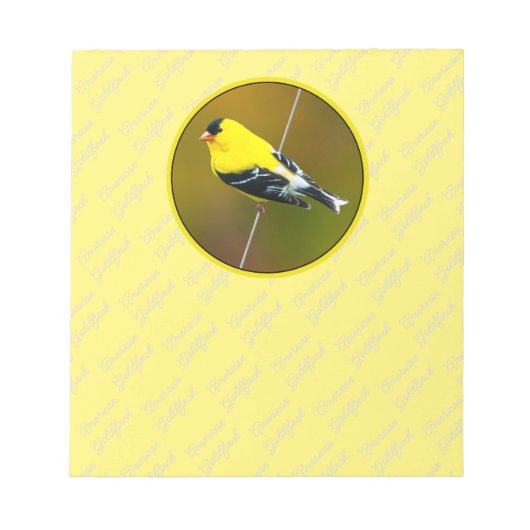 Bloc-note American Goldfinch - Photo originale (Devant)