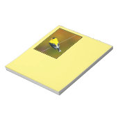 Bloc-note American Goldfinch - Photo originale (Tourné)