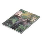 Bloc-note Amérique du Nord, Canada, Nouvelle-Écosse, Cap-Bre (Tourné)